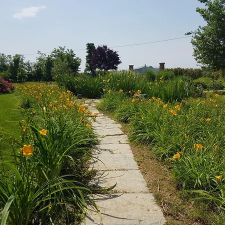 Cascina Dei Fiori Pensión San Lorenzo (Cuneo)